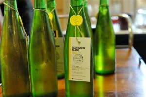 2-Sauvignon blanc-arhivski