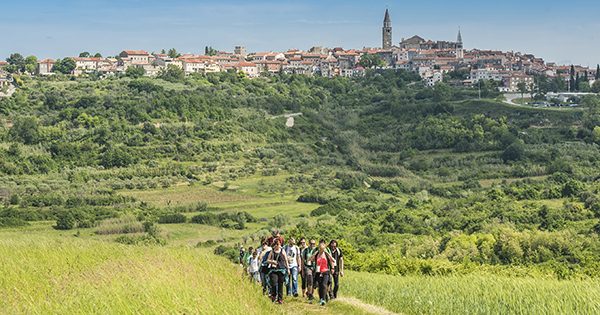 Istria Wine and Walk web