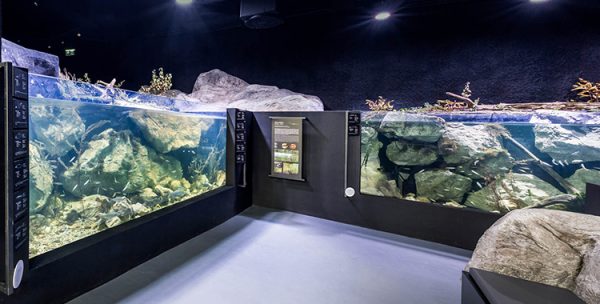 ulaz-u-akvarij-rampa-detalj-1-web